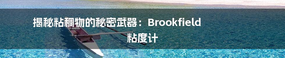 揭秘粘稠物的秘密武器：Brookfield 粘度计