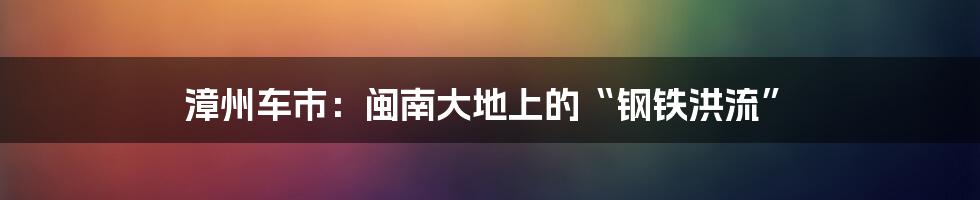 漳州车市:闽南大地上的“钢铁洪流”