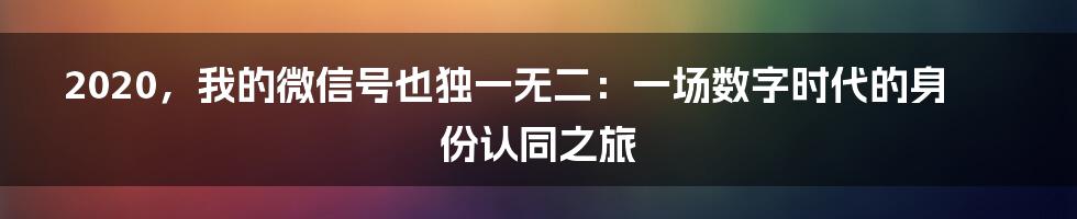 2020，我的微信号也独一无二：一场数字时代的身份认同之旅