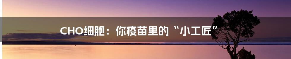 CHO细胞:你疫苗里的“小工匠”