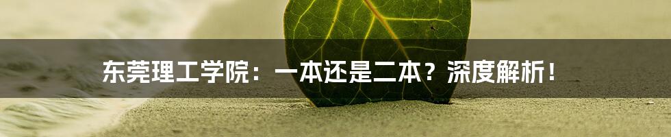 东莞理工学院:一本还是二本?深度解析!