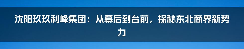 沈阳玖玖利峰集团:从幕后到台前,探秘东北商界新势力