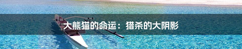 大熊猫的命运:猎杀的大阴影