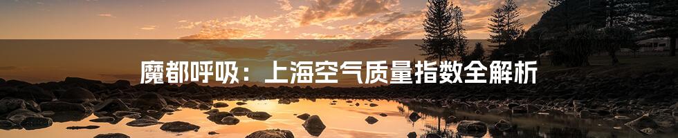 魔都呼吸:上海空气质量指数全解析