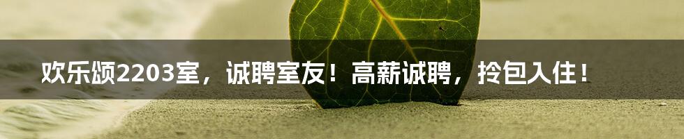 欢乐颂2203室,诚聘室友!高薪诚聘,拎包入住!