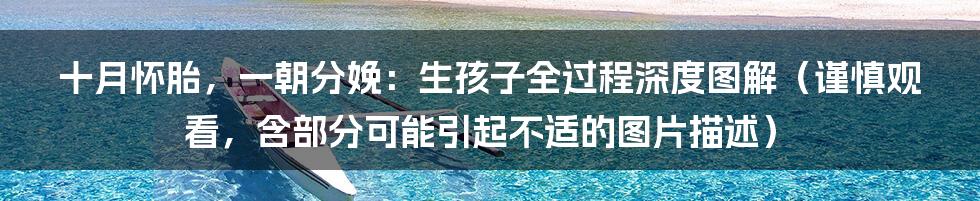 十月怀胎，一朝分娩：生孩子全过程深度图解（谨慎观看，含部分可能引起不适的图片描述）