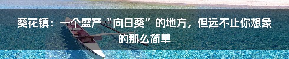 葵花镇:一个盛产“向日葵”的地方,但远不止你想象的那么简单