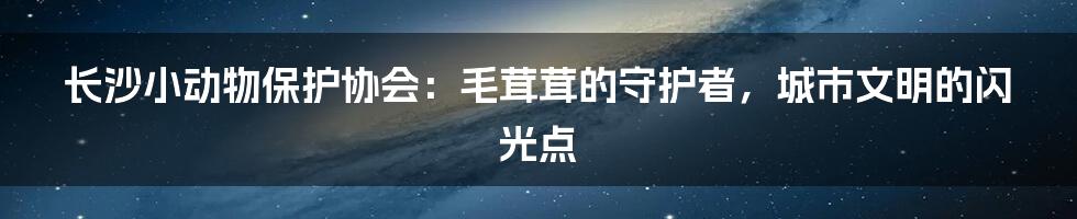 长沙小动物保护协会:毛茸茸的守护者,城市文明的闪光点