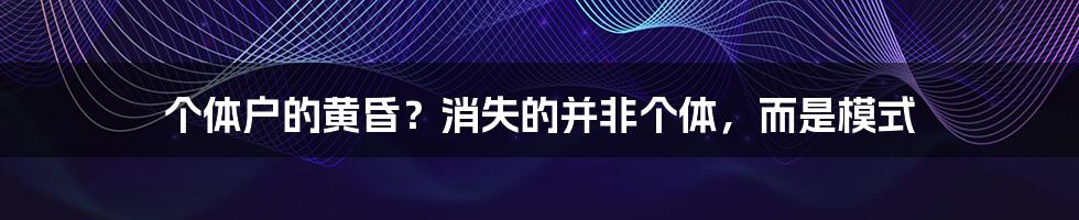 个体户的黄昏?消失的并非个体,而是模式