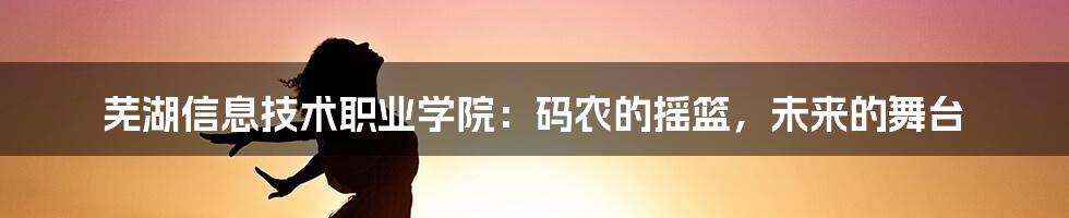 芜湖信息技术职业学院:码农的摇篮,未来的舞台