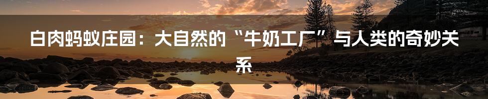 白肉蚂蚁庄园:大自然的“牛奶工厂”与人类的奇妙关系