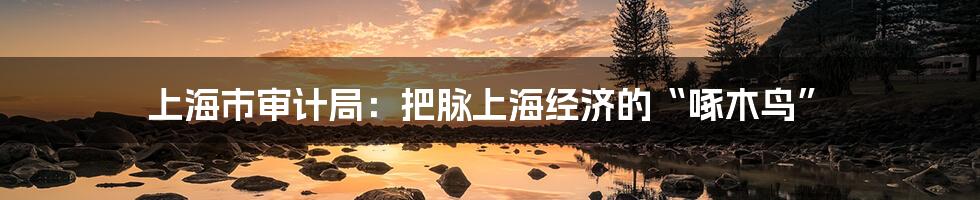 上海市审计局：把脉上海经济的“啄木鸟”