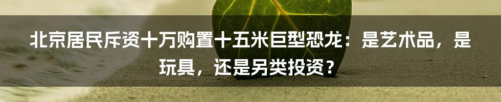 北京居民斥资十万购置十五米巨型恐龙:是艺术品,是玩具,还是另类投资?