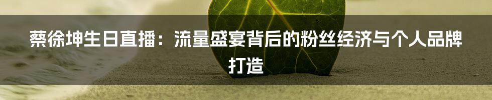 蔡徐坤生日直播:流量盛宴背后的粉丝经济与个人品牌打造