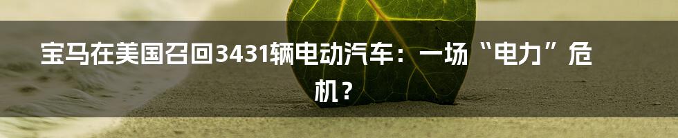 宝马在美国召回3431辆电动汽车:一场“电力”危机?