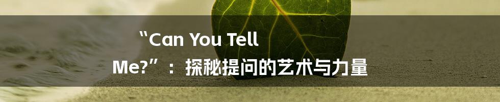 “Can You Tell Me?”:探秘提问的艺术与力量