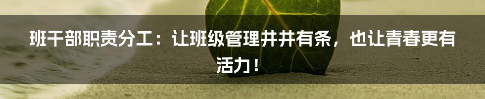 班干部职责分工:让班级管理井井有条,也让青春更有活力!