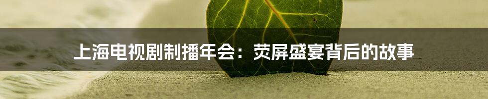 上海电视剧制播年会:荧屏盛宴背后的故事