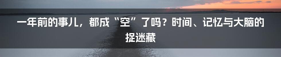 一年前的事儿,都成“空”了吗?时间、记忆与大脑的捉迷藏
