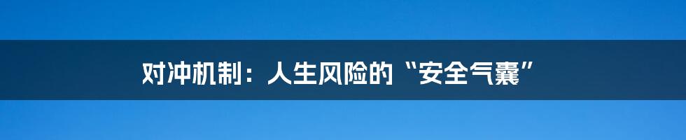 对冲机制:人生风险的“安全气囊”