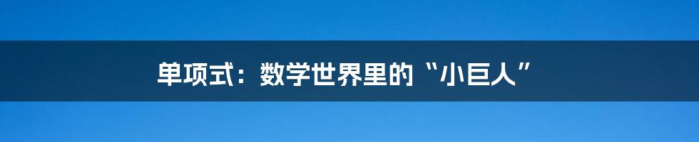 单项式:数学世界里的“小巨人”