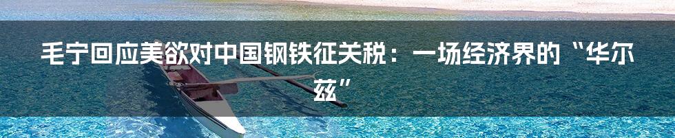 毛宁回应美欲对中国钢铁征关税:一场经济界的“华尔兹”