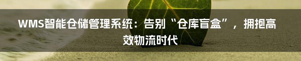 WMS智能仓储管理系统：告别“仓库盲盒”，拥抱高效物流时代