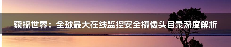 窥探世界:全球最大在线监控安全摄像头目录深度解析
