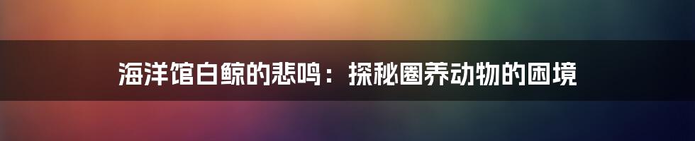 海洋馆白鲸的悲鸣:探秘圈养动物的困境