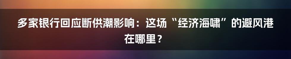 多家银行回应断供潮影响：这场“经济海啸”的避风港在哪里？
