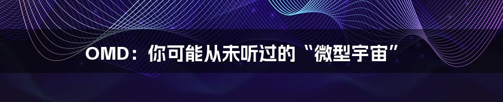 OMD:你可能从未听过的“微型宇宙”