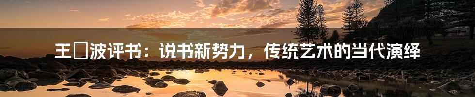 王玥波评书：说书新势力，传统艺术的当代演绎
