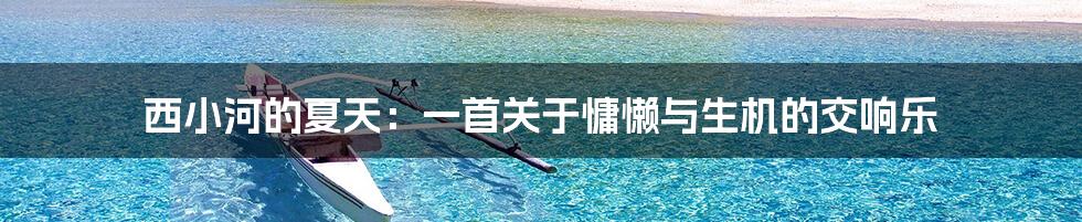 西小河的夏天:一首关于慵懒与生机的交响乐