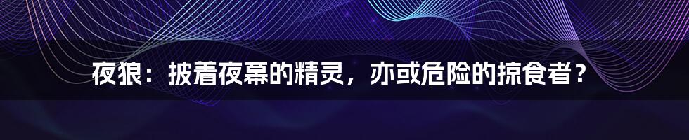 夜狼：披着夜幕的精灵，亦或危险的掠食者？