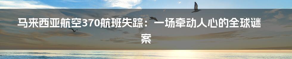 马来西亚航空370航班失踪:一场牵动人心的全球谜案