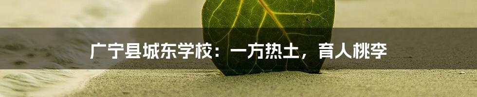 广宁县城东学校:一方热土,育人桃李