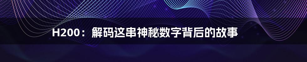 H200:解码这串神秘数字背后的故事