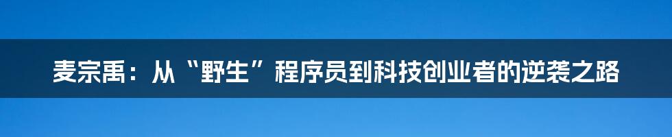 麦宗禹:从“野生”程序员到科技创业者的逆袭之路