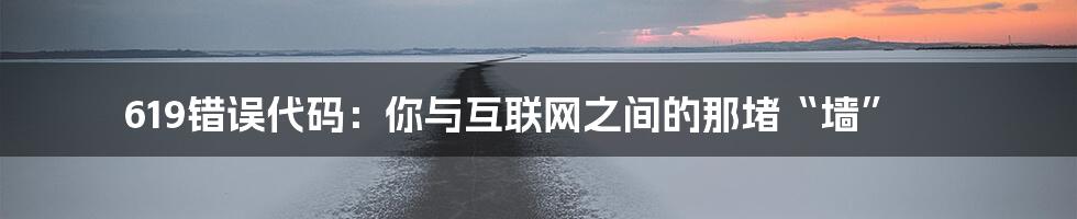 619错误代码:你与互联网之间的那堵“墙”