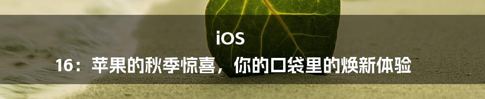 iOS 16:苹果的秋季惊喜,你的口袋里的焕新体验