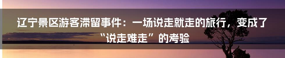 辽宁景区游客滞留事件：一场说走就走的旅行，变成了“说走难走”的考验