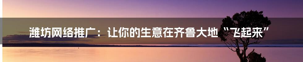 潍坊网络推广：让你的生意在齐鲁大地“飞起来”