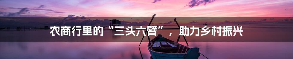 农商行里的“三头六臂”,助力乡村振兴