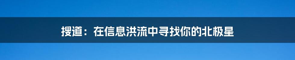 搜道:在信息洪流中寻找你的北极星