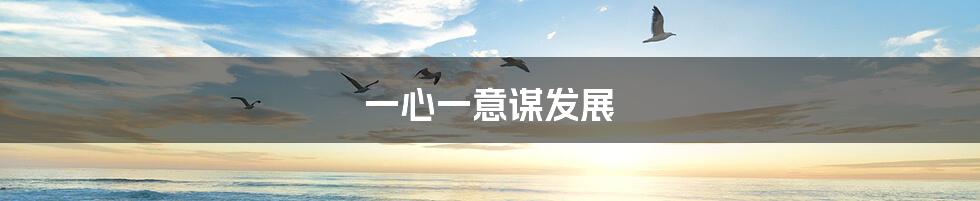 一心一意谋发展