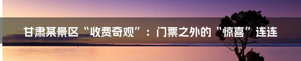 甘肃某景区“收费奇观”:门票之外的“惊喜”连连