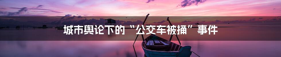 城市舆论下的“公交车被捅”事件