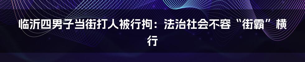 临沂四男子当街打人被行拘:法治社会不容“街霸”横行