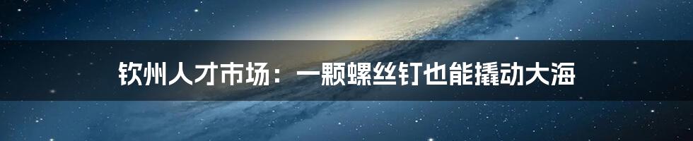 钦州人才市场:一颗螺丝钉也能撬动大海