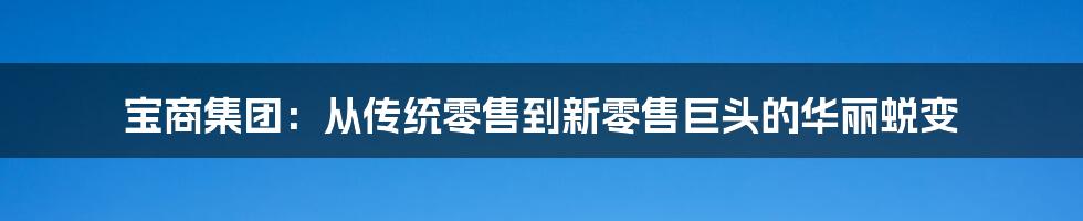 宝商集团:从传统零售到新零售巨头的华丽蜕变
